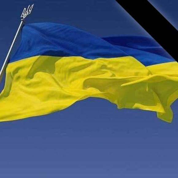 Meet your Posher, Lisa - Picture 1 of 1